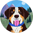 Larry Risko profile picture